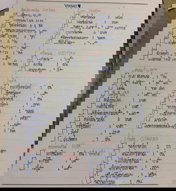 แม่ๆบ้านไหนเตรียมของเด็กแรกเกิด มีอะไรกันบ้างค้ะ  ช่วยแนะนำหน่อยค่ะ ยังไม่ได้ซื้อของให้น้องค่ะ