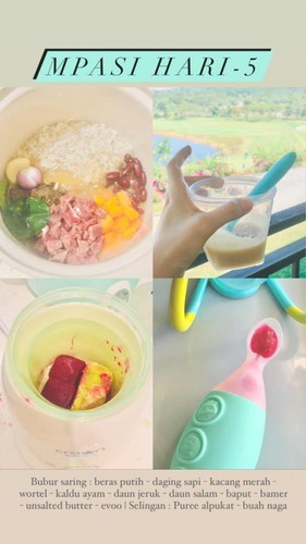 MPASI Hari ke 5-9 (Pengunaan blender untuk MPASI)