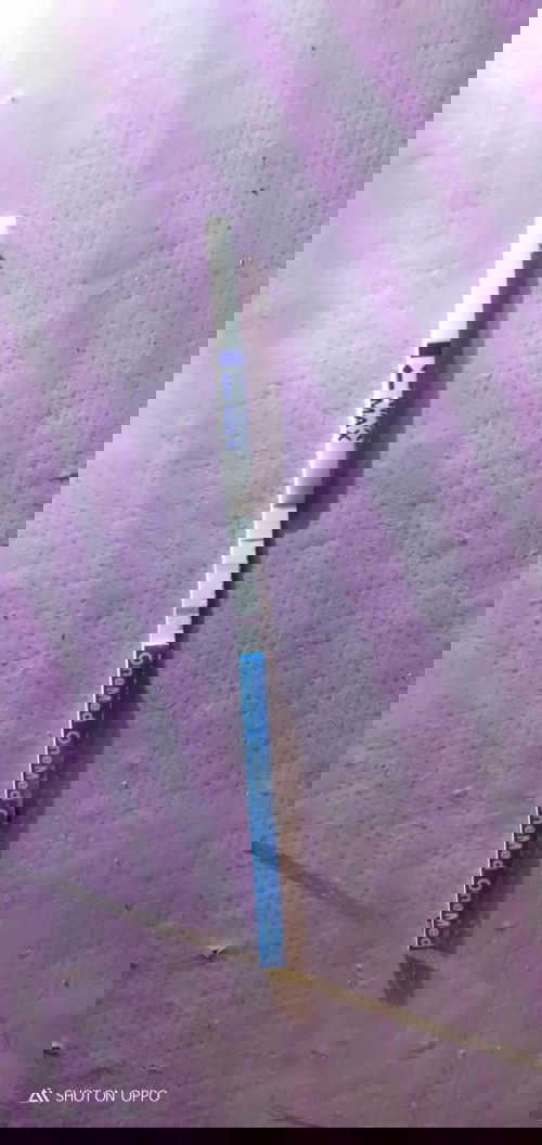 Bunda saya mau tanya