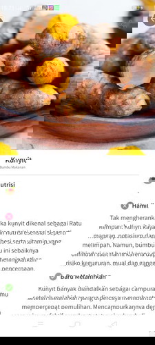 Kunyit pda ibu hamil