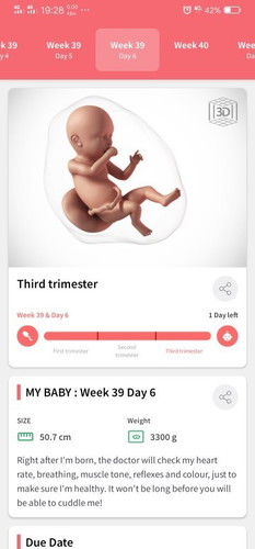 39 weeks and 6days