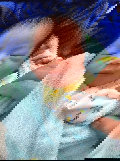 15สิงหาคม2020