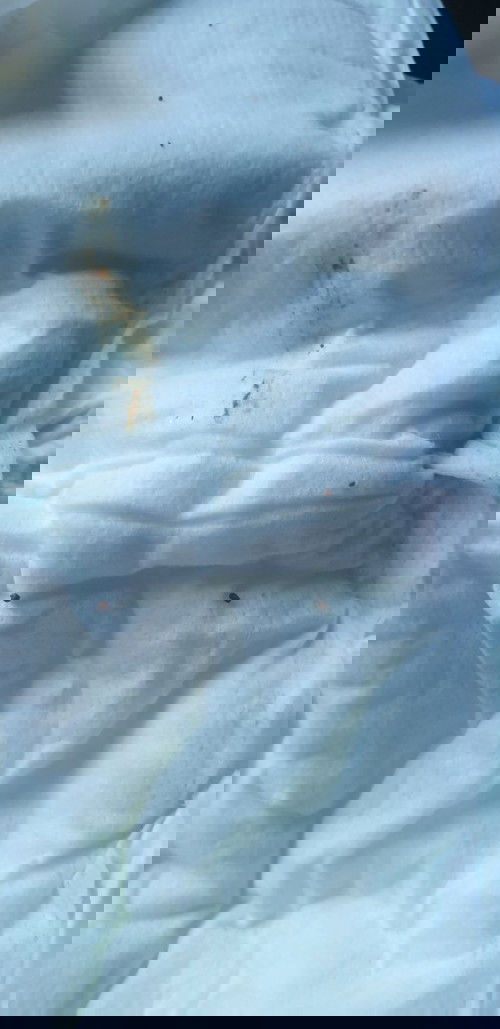 Bé có bị táo bón không