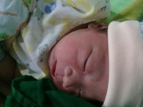 ลูกชายของแม่