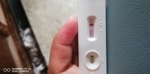 Pregnancy test result