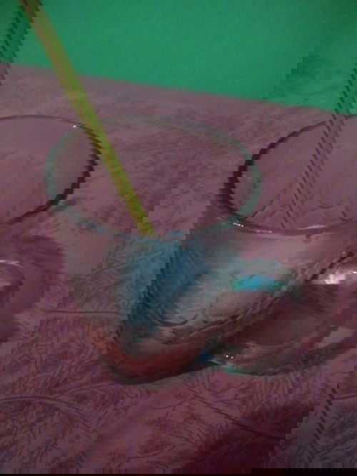 Hamil suka banget minum es