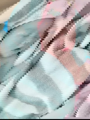 มาแล้วลูกสาวแม่ ชื่อไรดีนะ