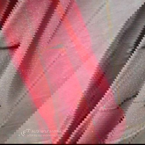 Doakan kehamilan saya berjalan lancar 33w