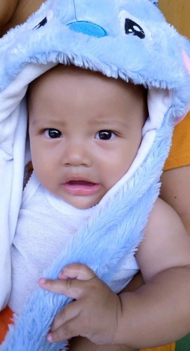 Bayi di kaih makan kurang dari 6 bulan