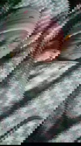 ครอดแล้ว18.30