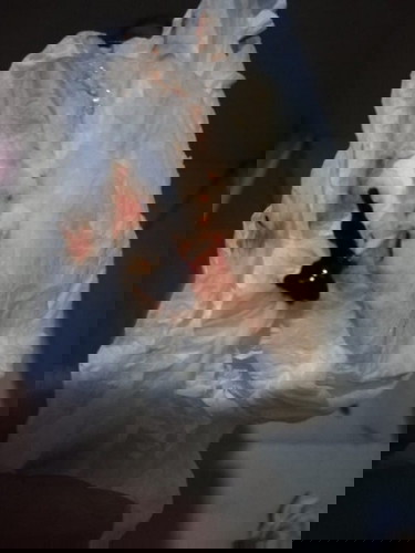 Bloody show? Not sure