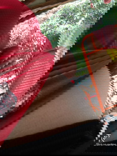 จะ5เดือนแล้วค่ะ🥰