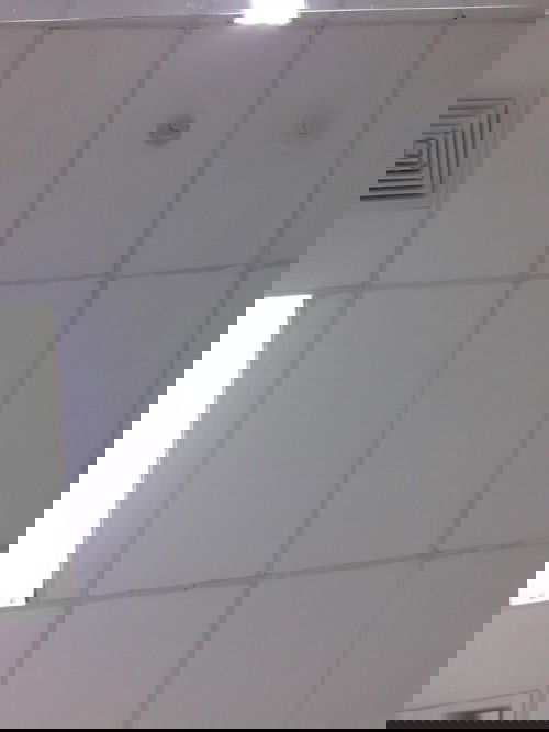 Boleh makan mie ayam gak?