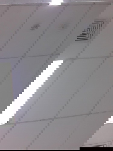 Boleh makan mie ayam gak?