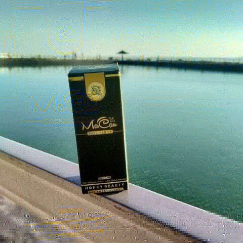 Jual Madu Cantik MaCan