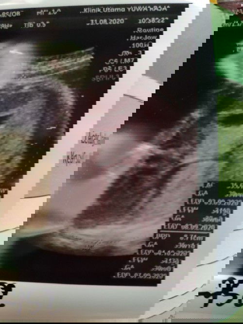 tolong di jawab plis