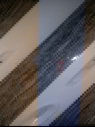 hamil