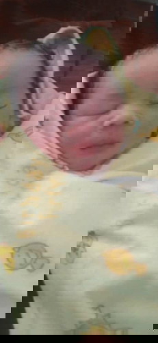 Hpl 13 september launching 27 agustus