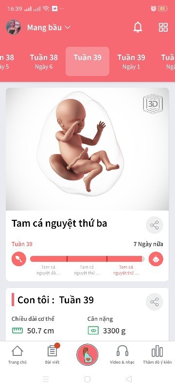 Em tập đầu