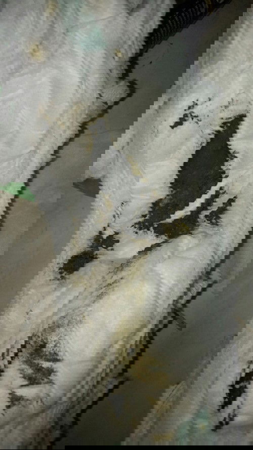 MPASI 6 BULAN 23 HARI