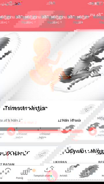 ga sabar nunggu datun lahir
