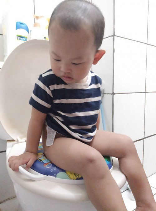 Tips Potty Training