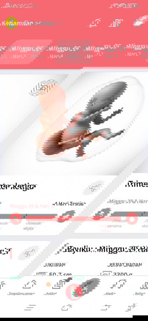 Bismillah mendekati hpl