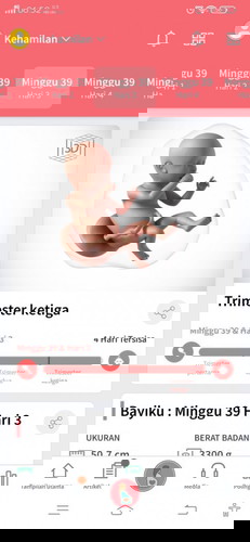 Bismillah mendekati hpl