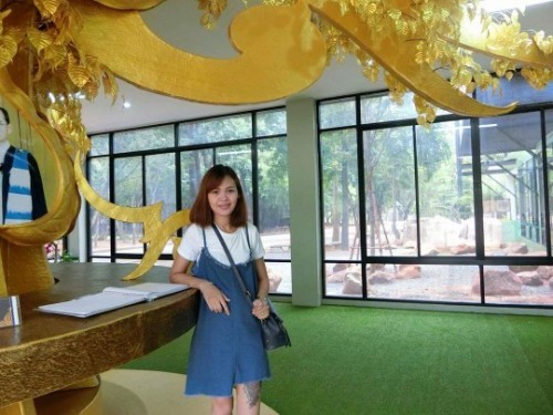 แพ้ท้องหนักมาก
