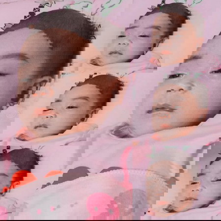ดอกอัญชันเป็นเหตุ