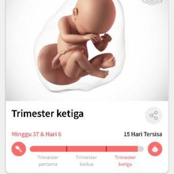 Tanda Akan Segera Melahirkan