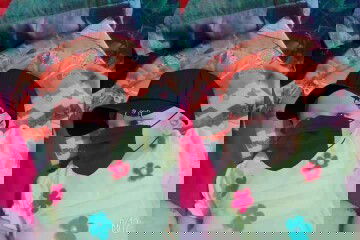 lahir bb. 3,3 kg dg panjang 54 cm