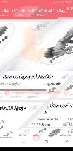 Bầu 38w5d..