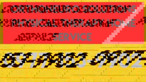 PHYSICAL THERAPY SERVICES