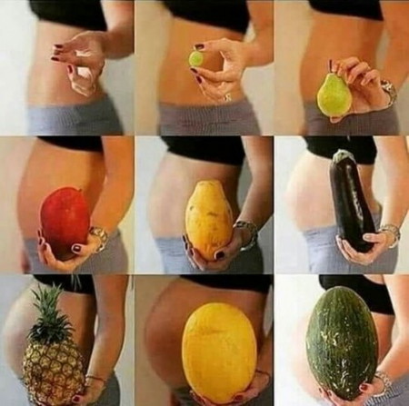 The Beautiful Stages of Pregnancy ♥