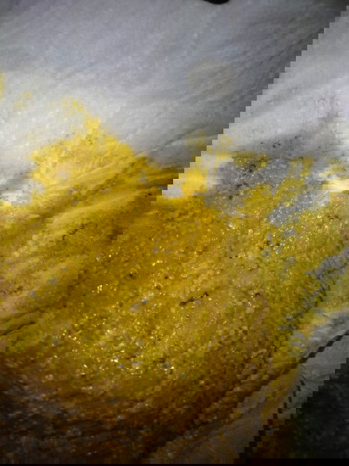 น้องถ่ายมีสีดำปนเพราะอะไรค่ะ