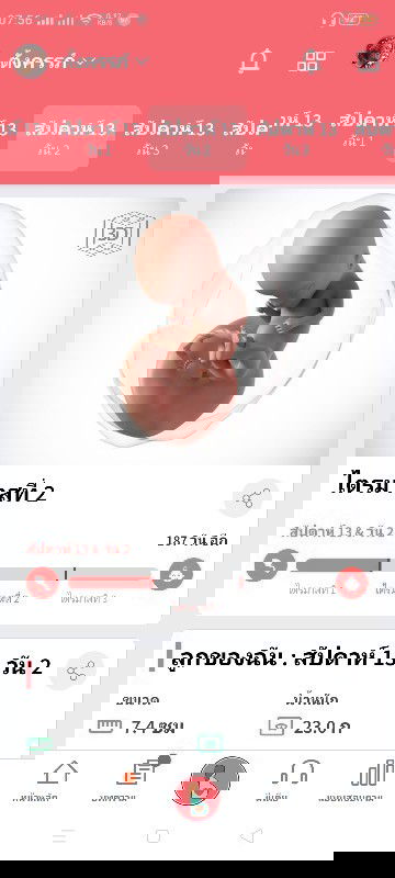 ท้อง13w2d น้ำหนักลดเพราะเเพ้ท้อง