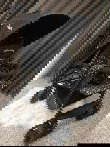 ส่งต่อ รถเข็นพี่น้อง 2,900