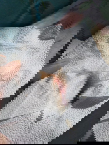 ท้องเเรกค่ะ