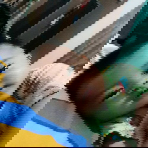 Belum mulai tengkurep