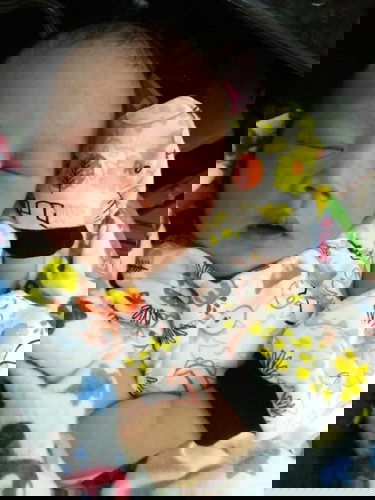 alhmdulillah lauching sblom hpl