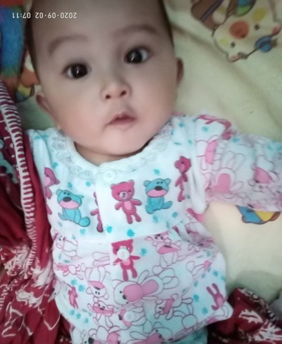 perkembangan baby