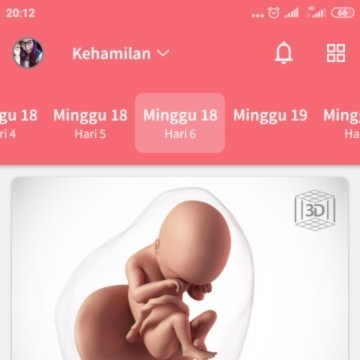18 minggu belum merasakan gerakan si dedek