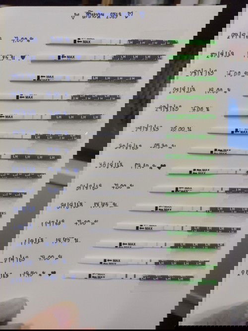 ผลเทสแบบไหนคือไข่ตก ? 🥚