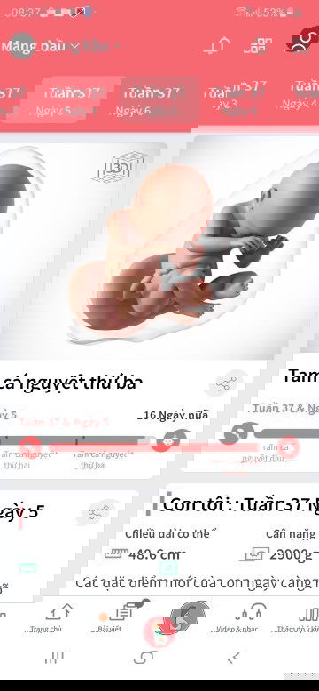 37w5d😊 tập_đầu