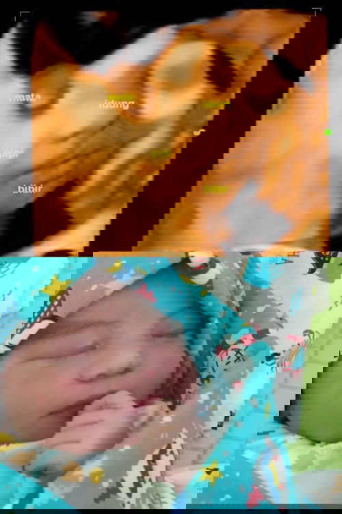 Pembukaan yang lambat..