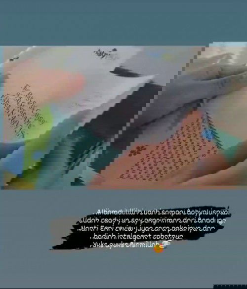 Jual Babyplus Original Baru