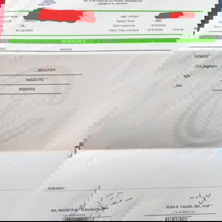 Dengue results ( positive or negative?