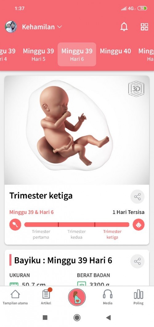 belum kontraksi