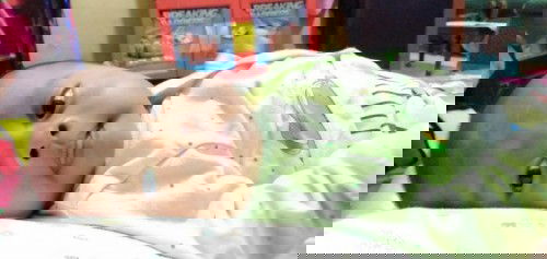 ASI ku untuk bayi ku